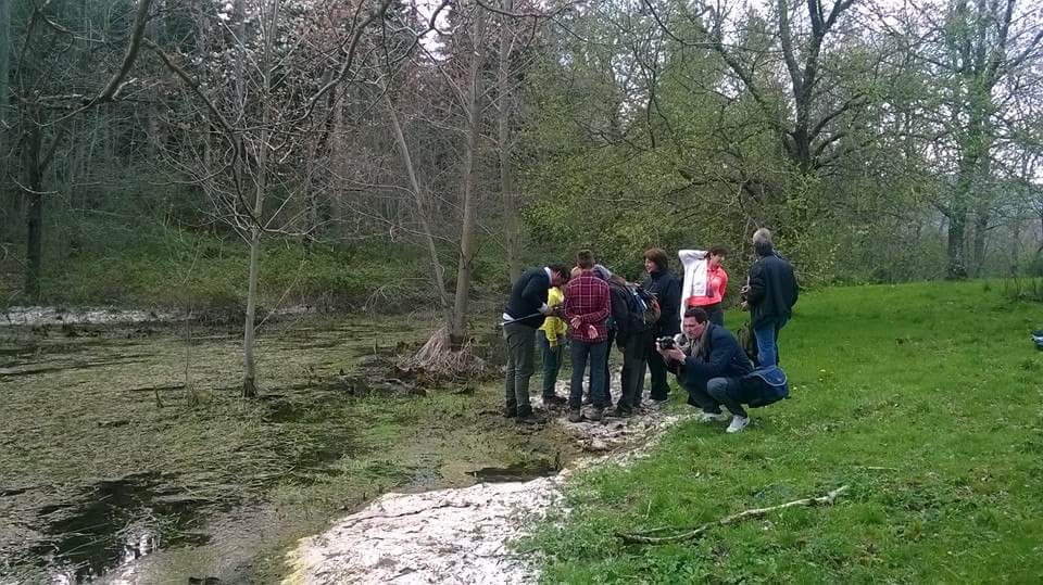 Laghetto di Montieri: biotopo meritevole!